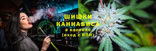 молекула духа Богданович