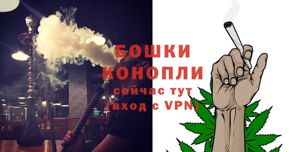 молекула духа Богданович