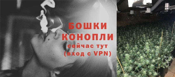 молекула духа Богданович