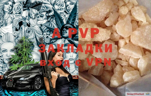молекула духа Богданович