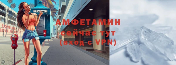 молекула духа Богданович