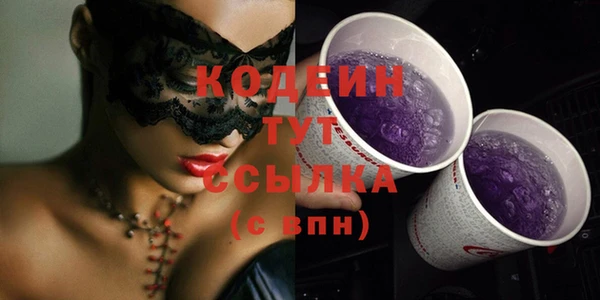 молекула духа Богданович