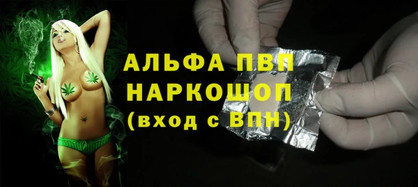 молекула духа Богданович