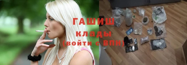 молекула духа Богданович
