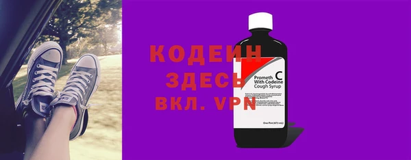 молекула духа Богданович