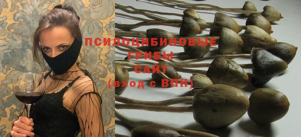 молекула духа Богданович