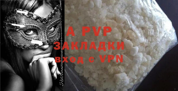 молекула духа Богданович