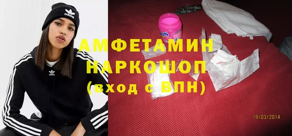 молекула духа Богданович
