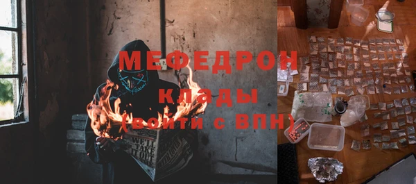 молекула духа Богданович